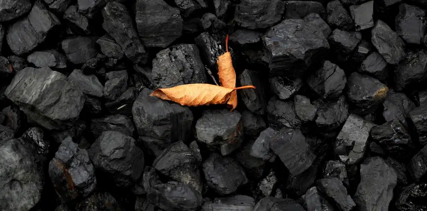 carvão